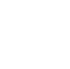 flight-icon