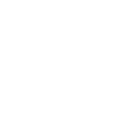 vis-icon