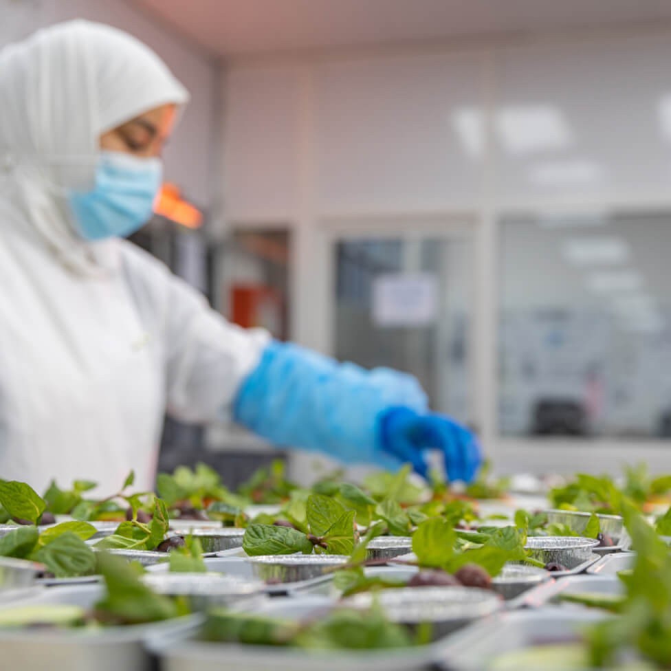 مختبر الأطعمة والفحوصات